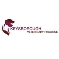 Expert X-Rays & Ultrasounds for Pets at Keysborough Vet Clinic