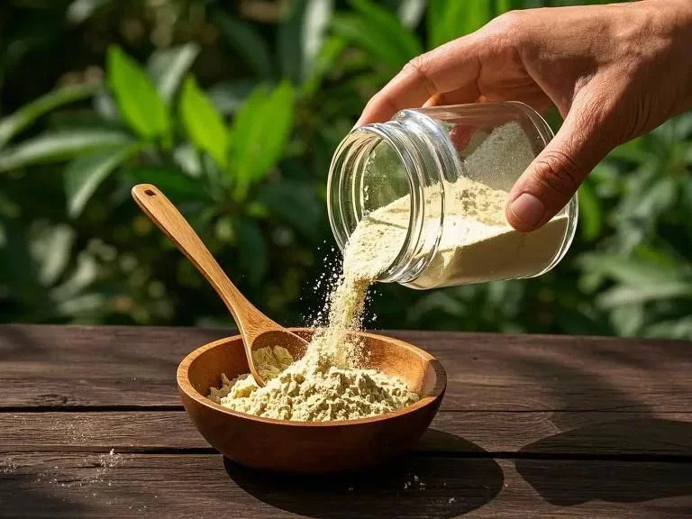 How to Choose Quality Wholesale Kratom Extract and Reliable Suppliers