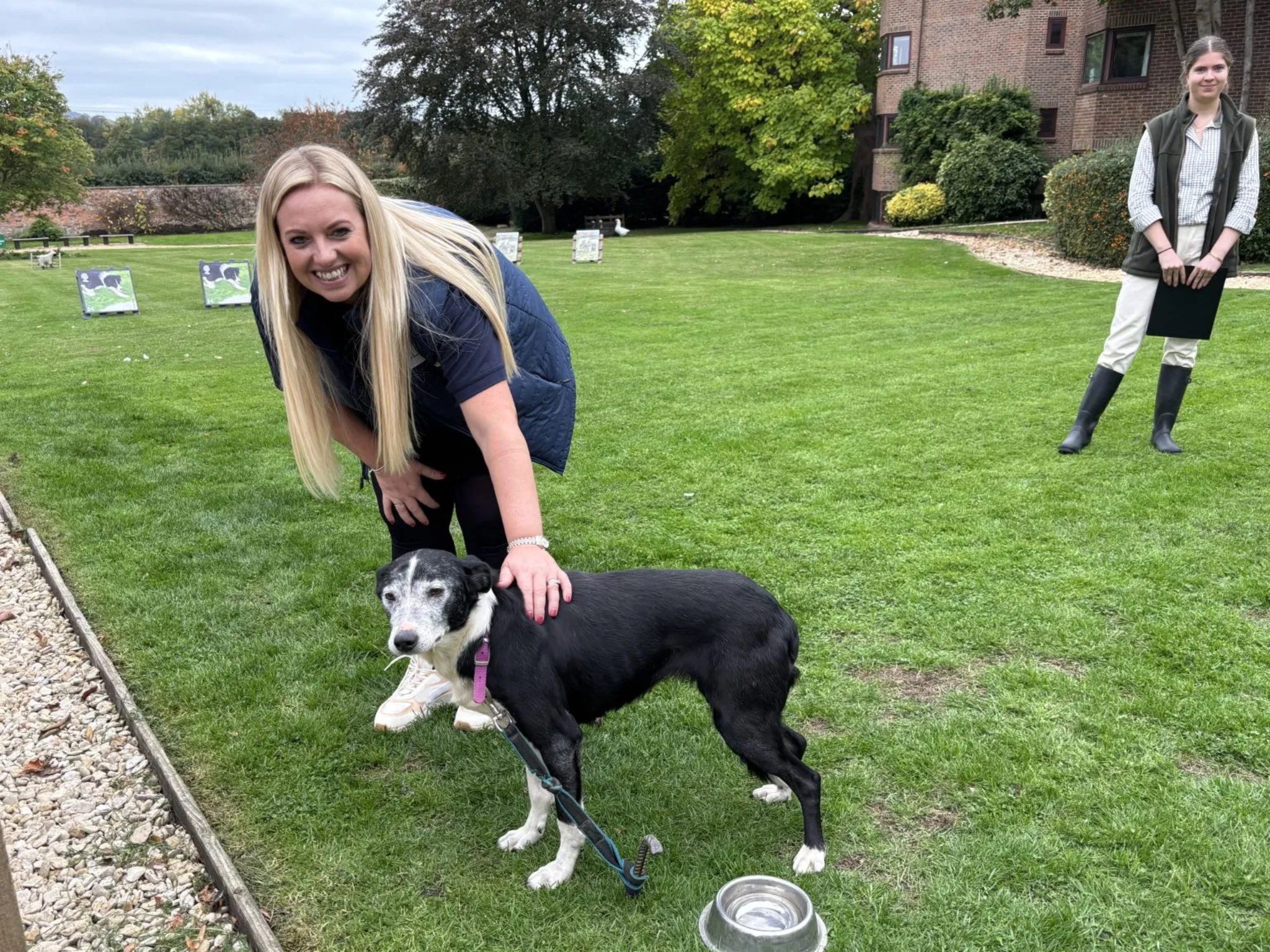 Sheepdog Displays for Corporate Events
