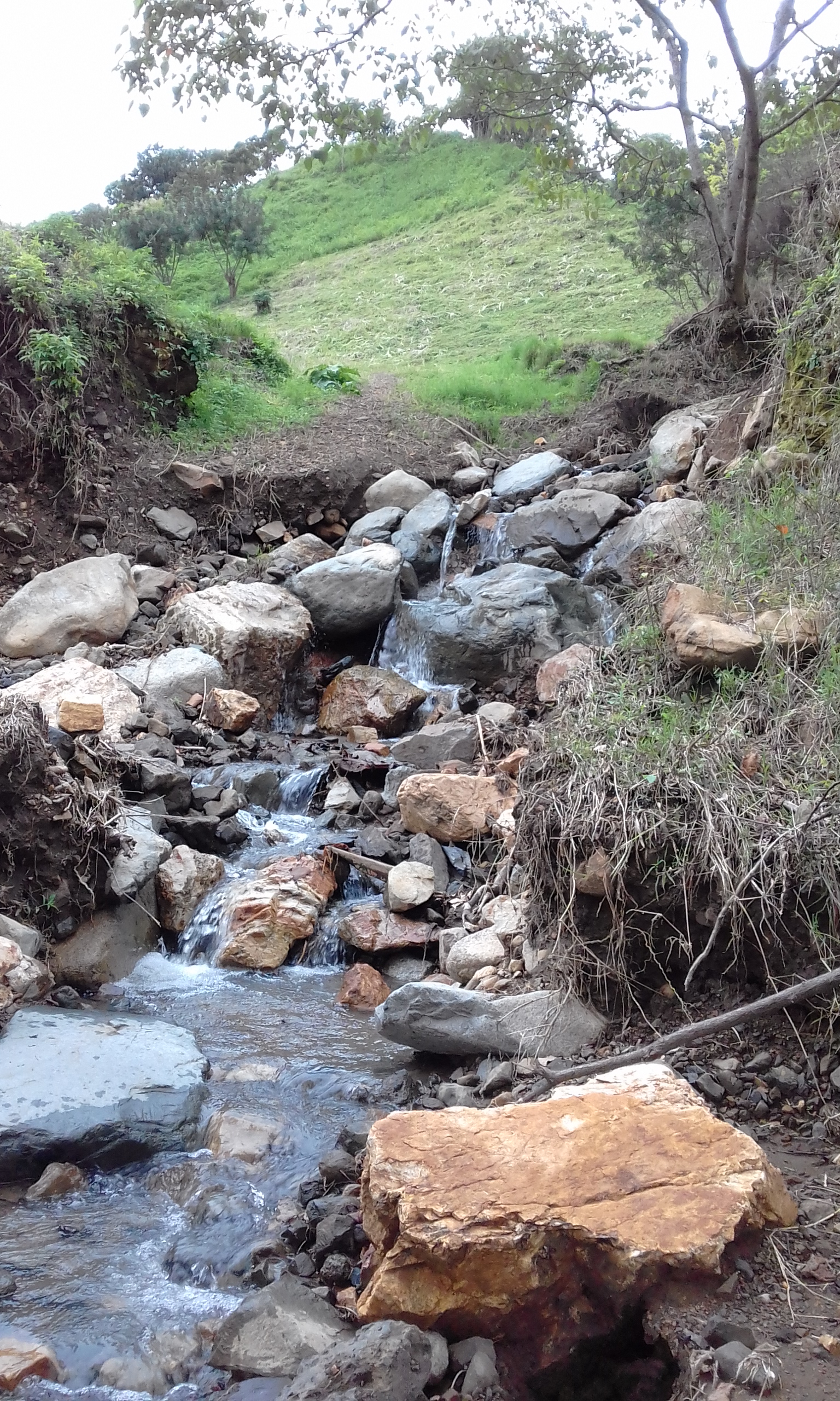 Massive Mountain Estate for sale. Salitral Santa Ana Costa Rica.