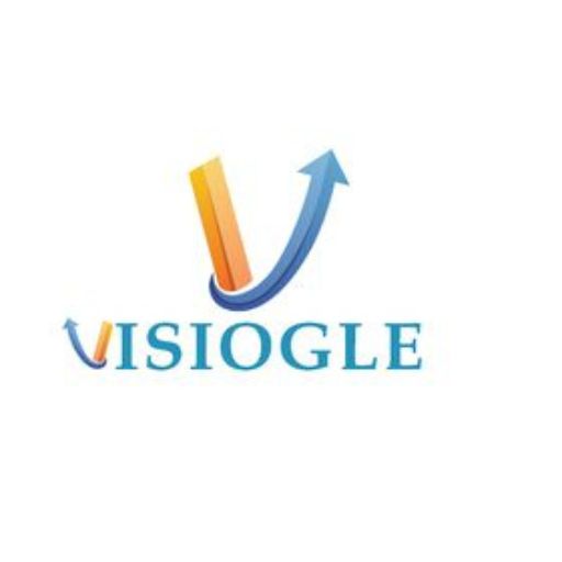 Visiogle: The PPC Company in India Helping Brands Maximize ROI
