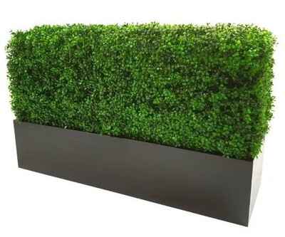 Deluxe Portable Buxus Hedge UV Resistant